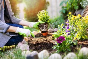 adult gardening and planting flowers